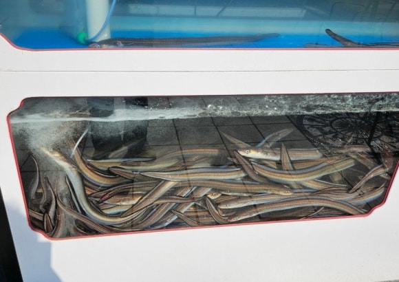 아리랑산장어구이 이미지