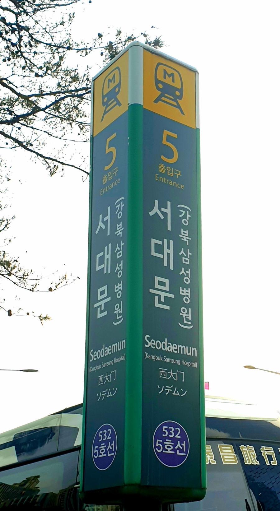 쌀쌀맞은닭 이미지