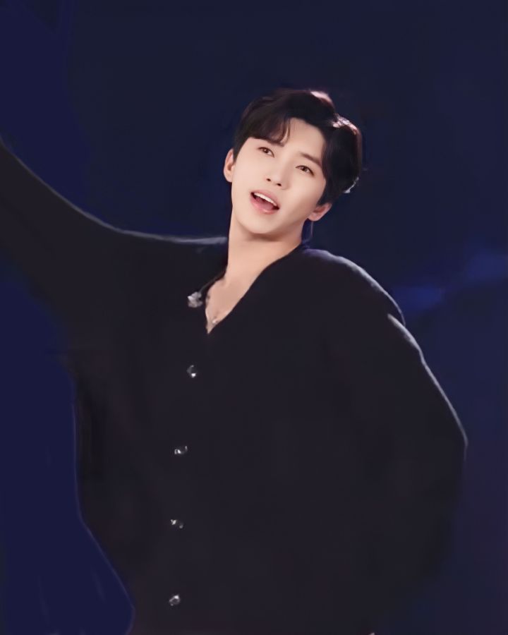선차이 이미지