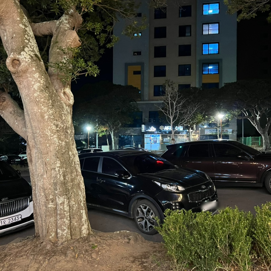 팔도실비집신서귀포점 이미지