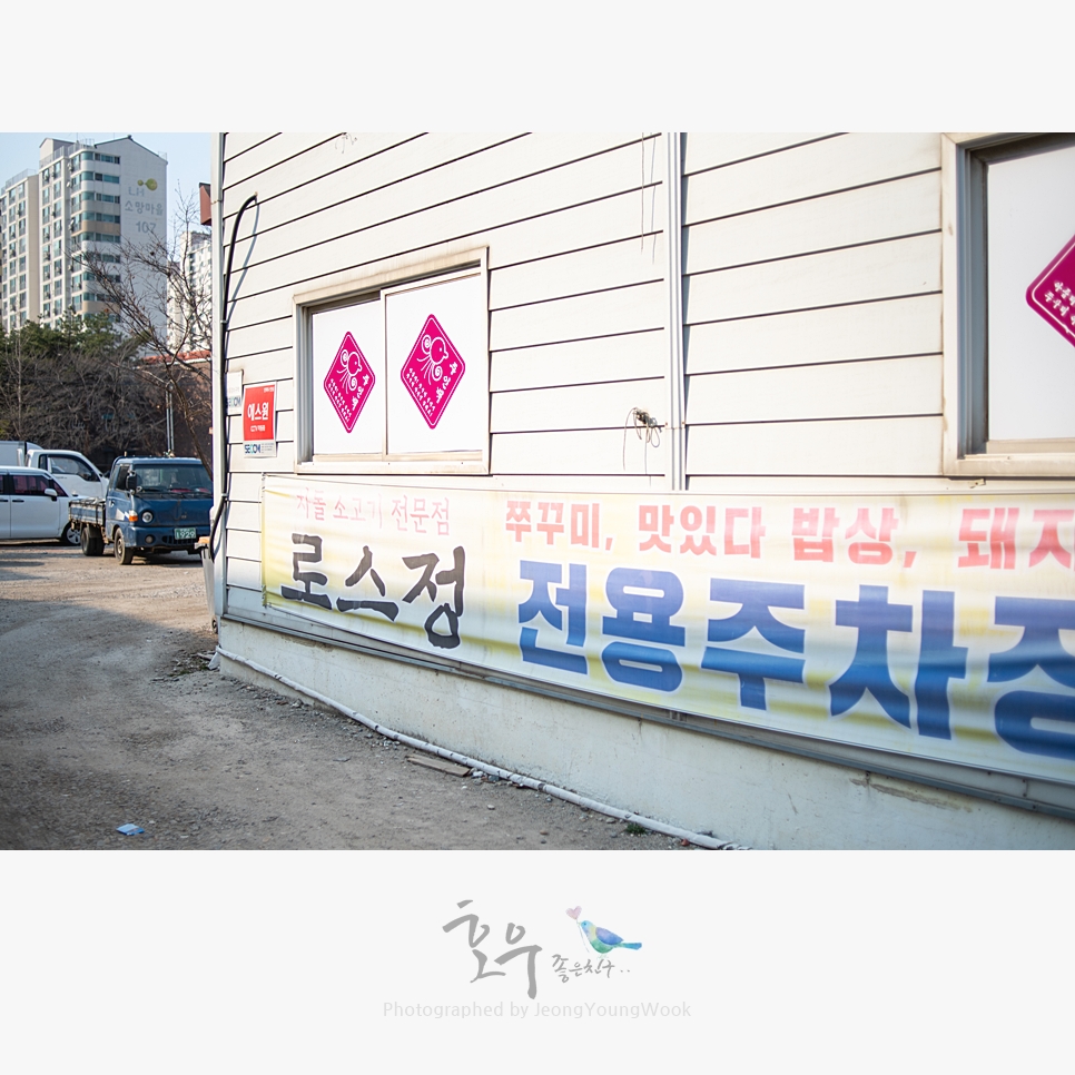 로스정 이미지