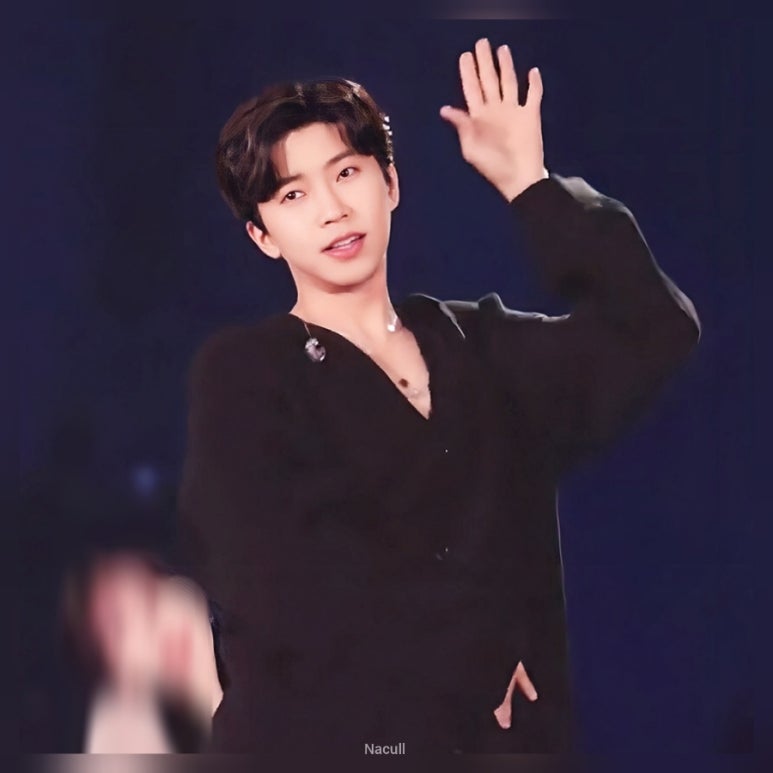 선차이 이미지