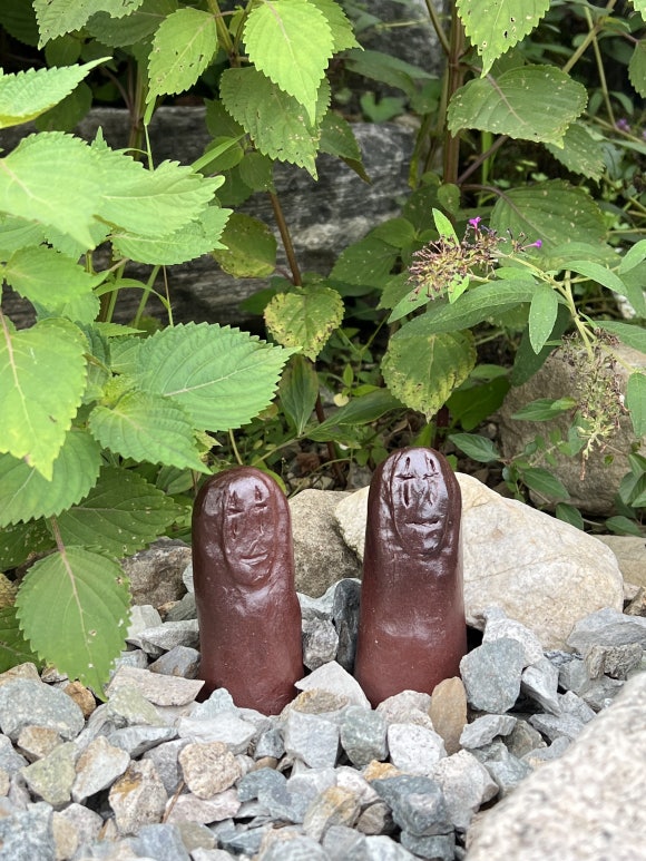 단야푸드앤바이오 이미지