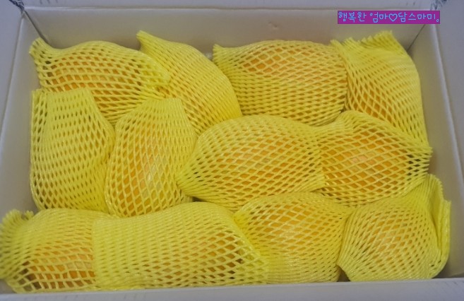 과일점빵 이미지