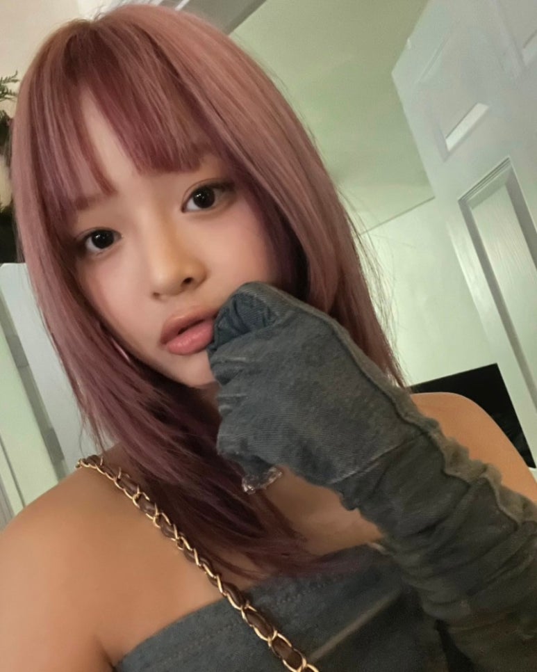하니헤어 이미지