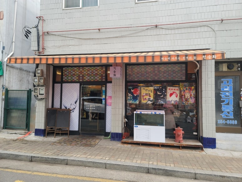 천송화 이미지