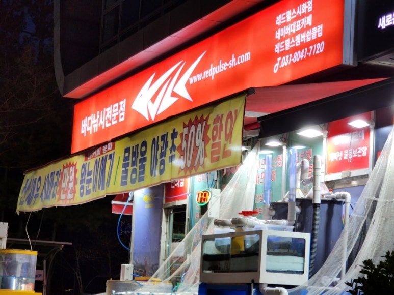레드펄스시화점 이미지