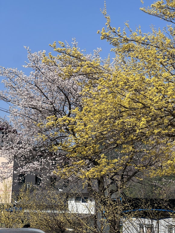 구례군청소년수련원 이미지