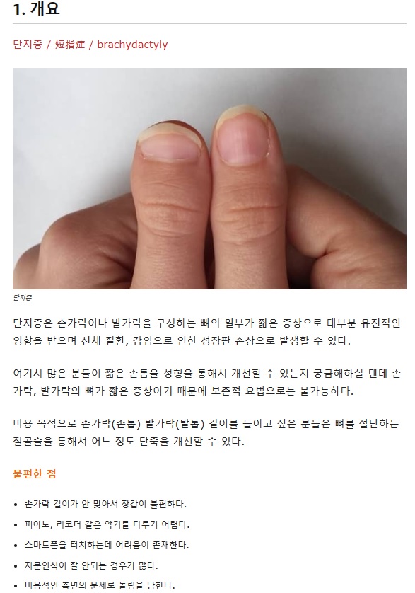 랑네일 이미지