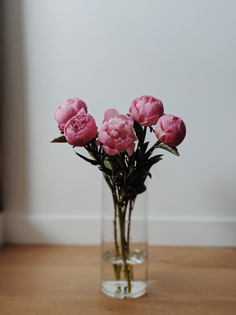 peony 이미지