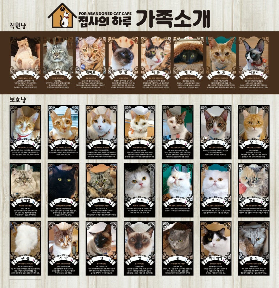 집사의하루 이미지