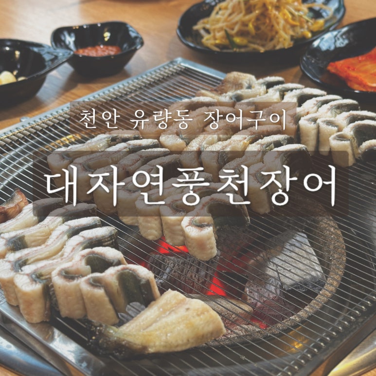 대자연풍천장어 이미지