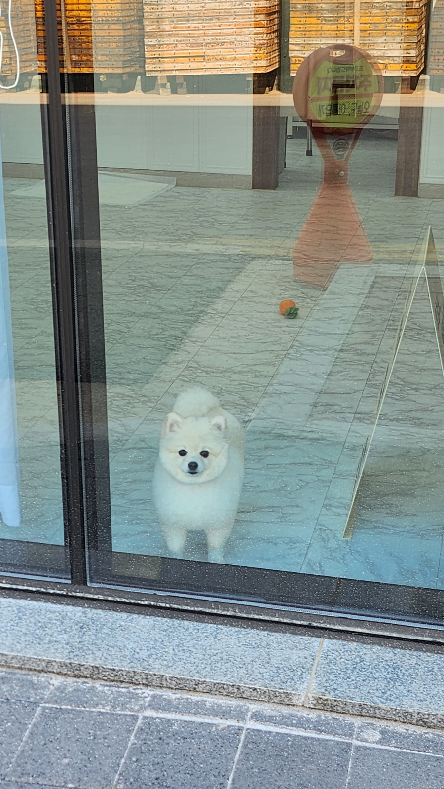 꽃피는화덕피자D485아산배방점 이미지