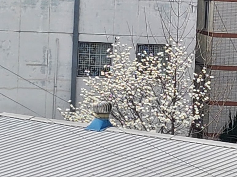 나무간호학원 이미지