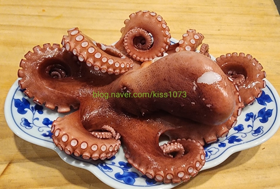 핏제리아칸니끄 이미지
