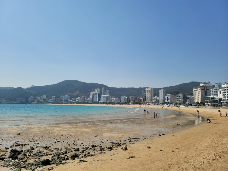 이디야커피 부산송정점 이미지