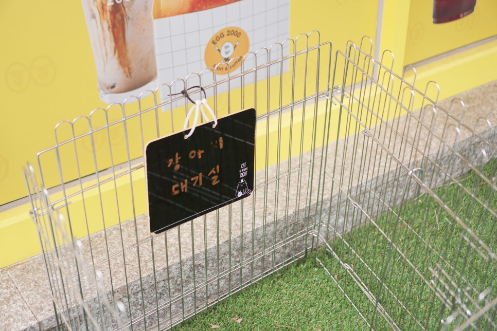 에그2000부산 이미지