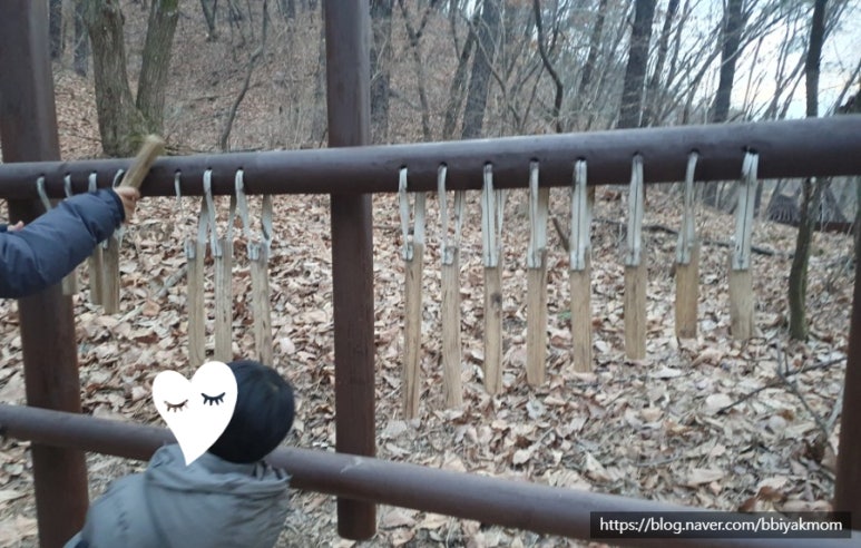 청사초롱 유아숲체험원 이미지