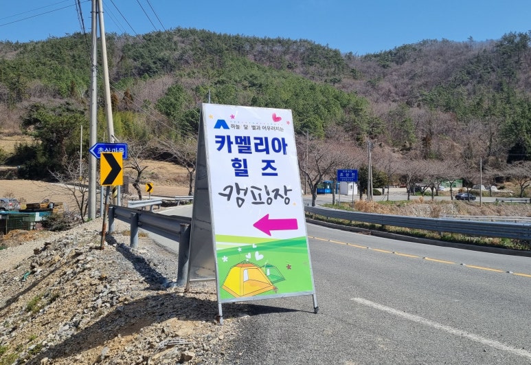 진도카멜리아힐즈오토캠핑장 이미지