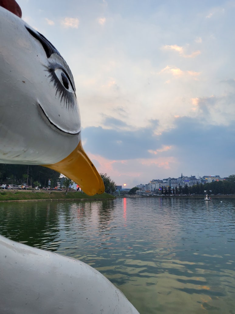 배닭 이미지