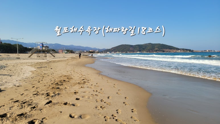 월포막창 이미지