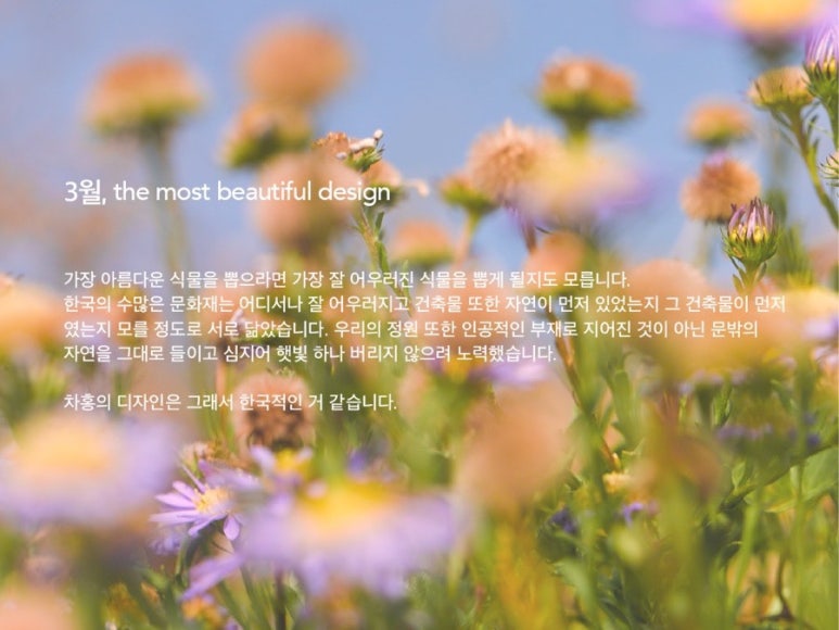 세이디자인 이미지