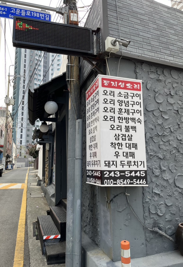 둥지생오리 이미지