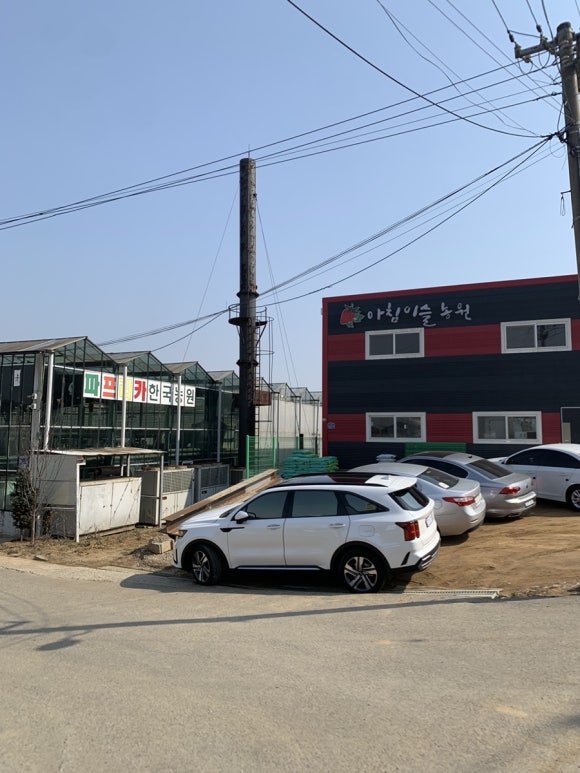 아침이슬농원 이미지