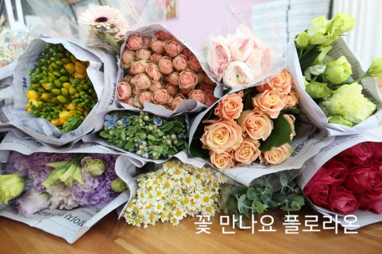 플로라온 이미지
