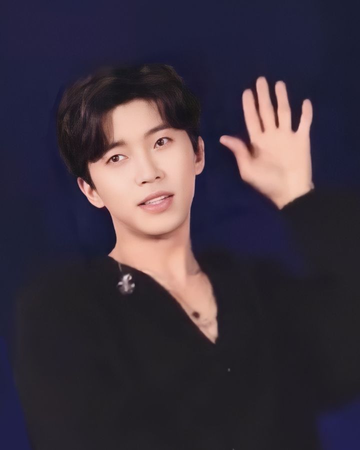 선차이 이미지