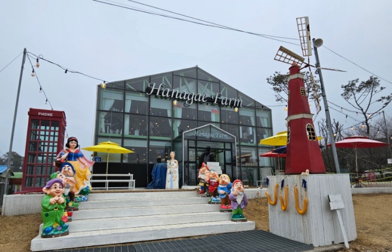 무의도바다손칼국수 이미지