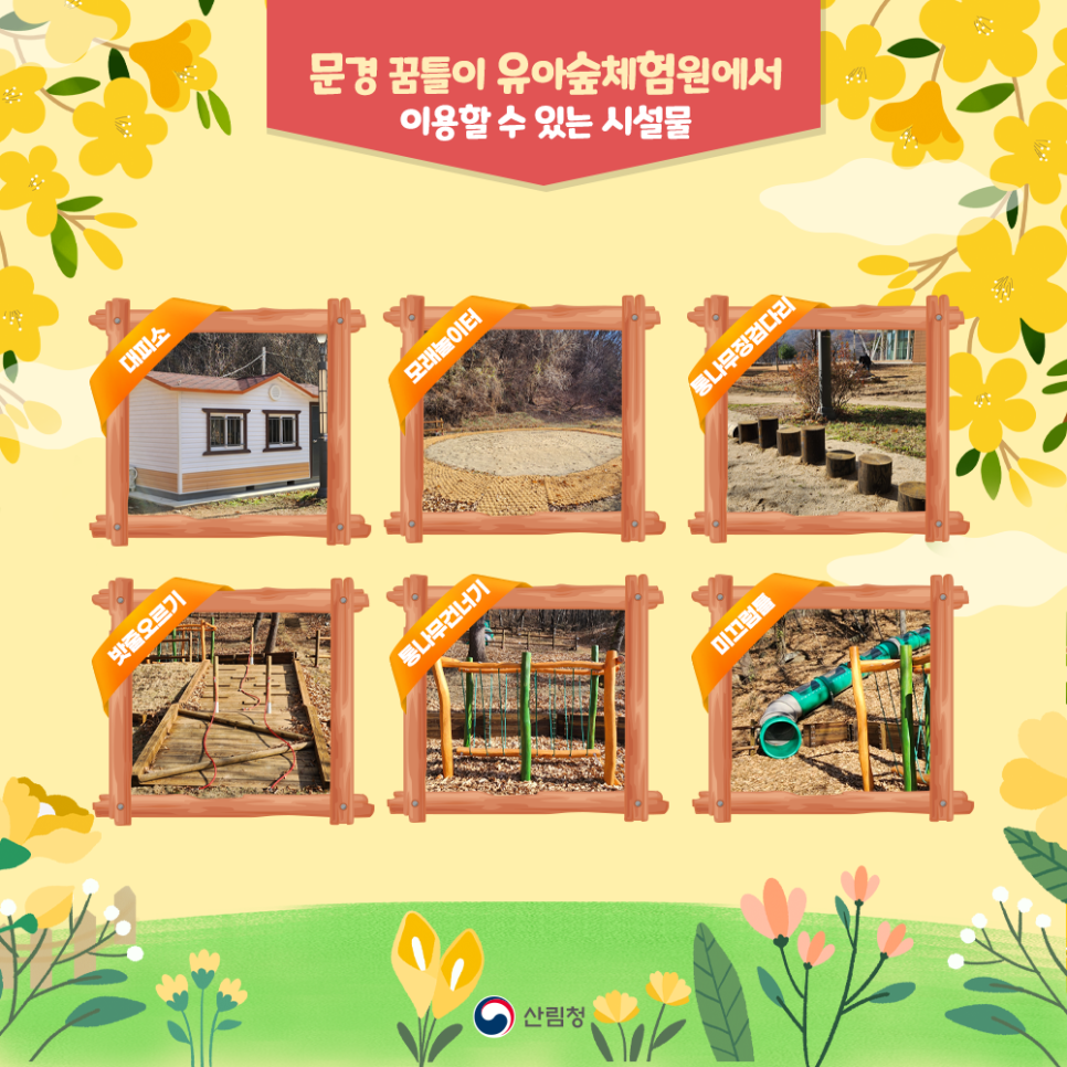튼튼 유아숲체험원 이미지