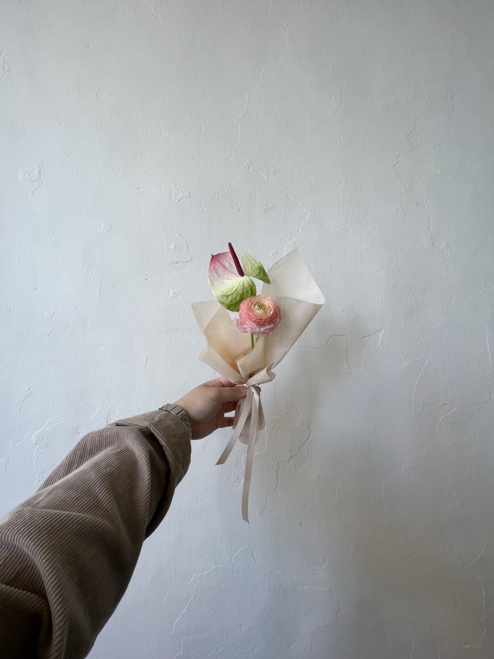 보로하 이미지