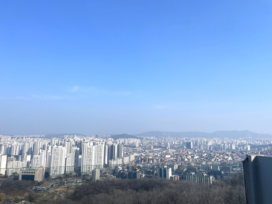 중앙칼라 이미지