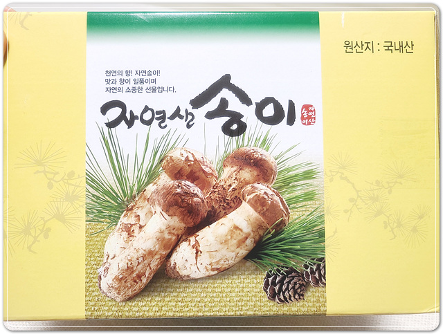 법인자연 이미지