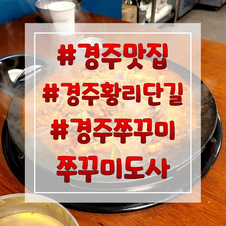 쭈꾸미도사경주 이미지