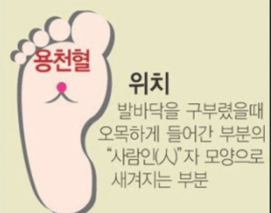 생명에너지 이미지
