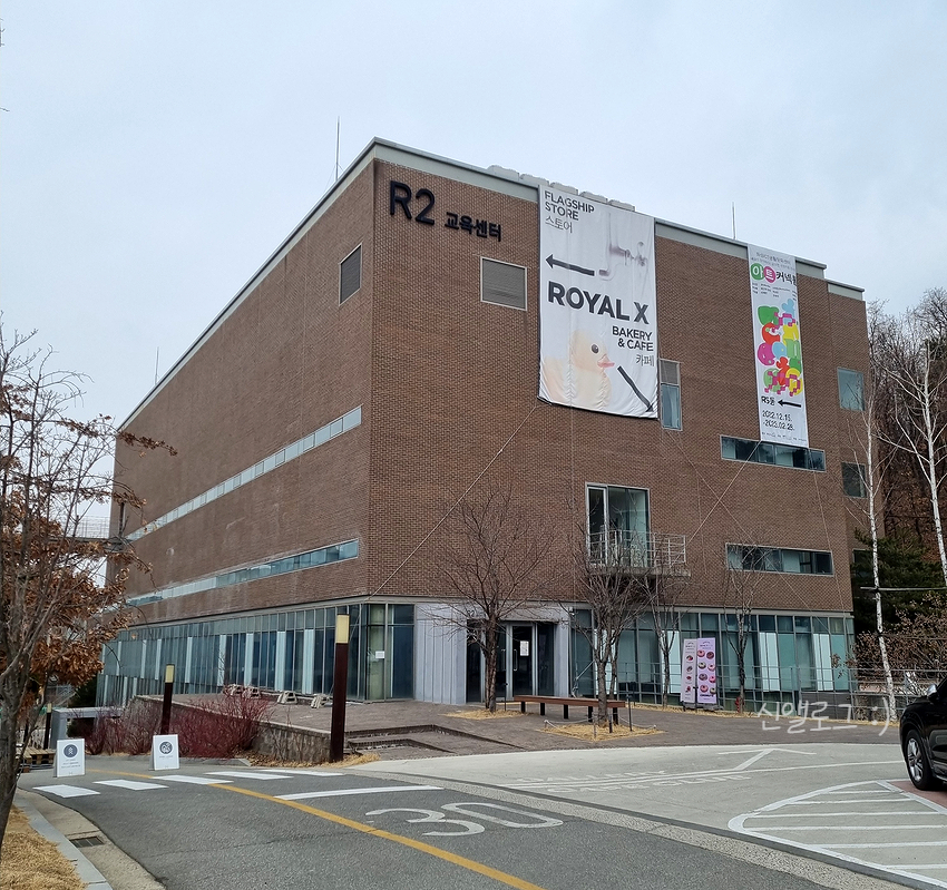 로얄엑스(ROYAL X) 이미지