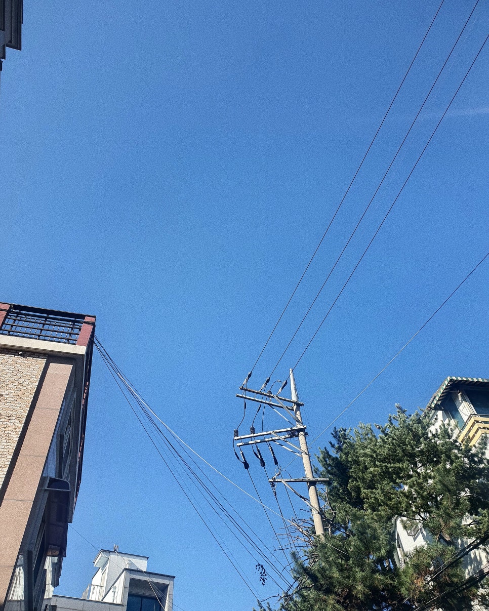 더쏘유 이미지