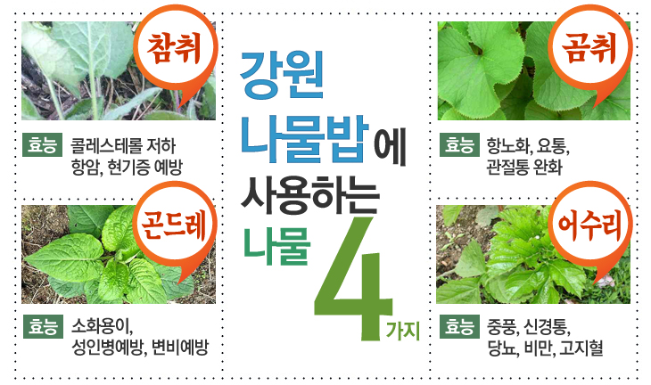 뽕잎사랑원주 이미지