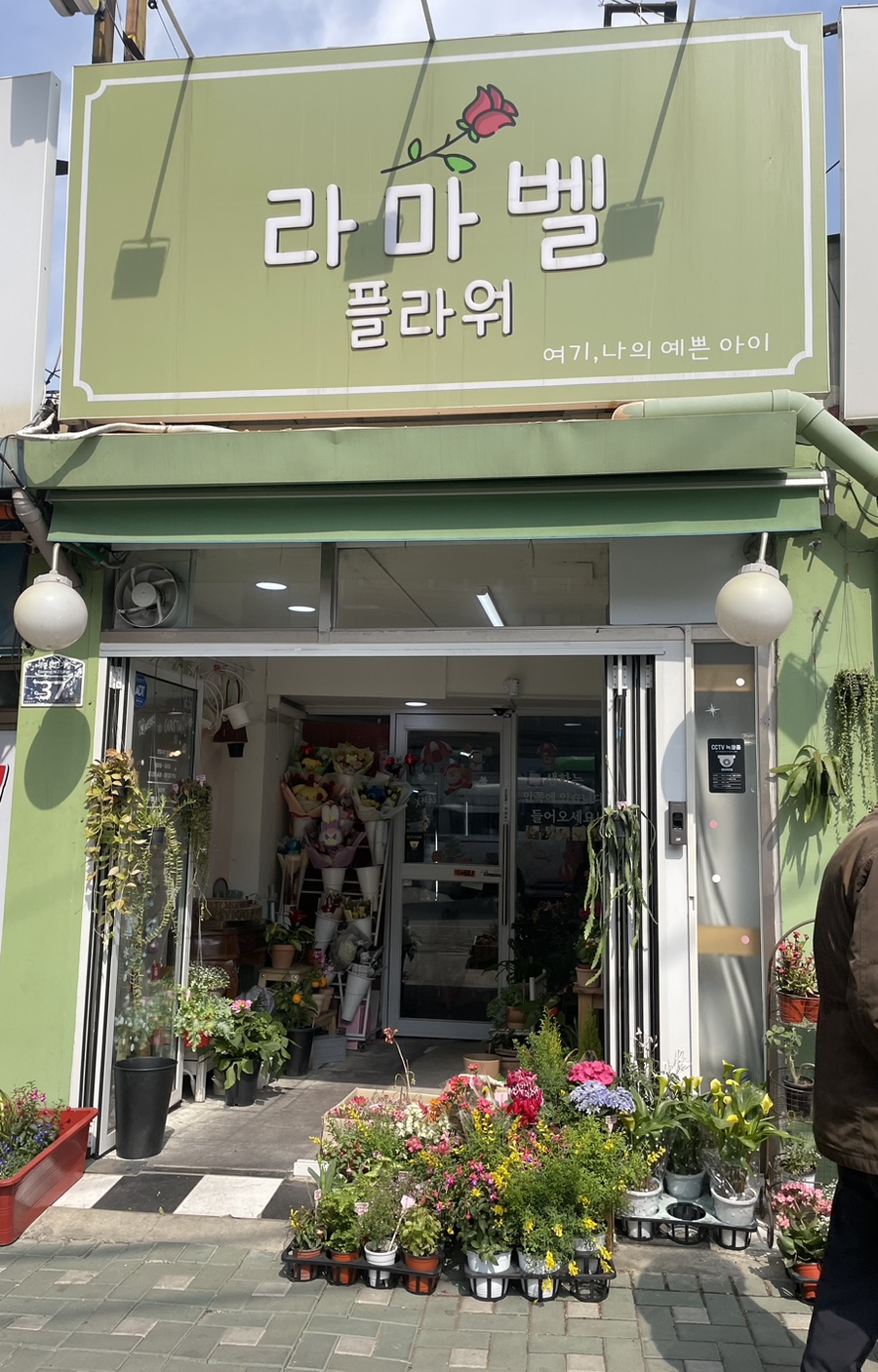 라마벨플라워 이미지