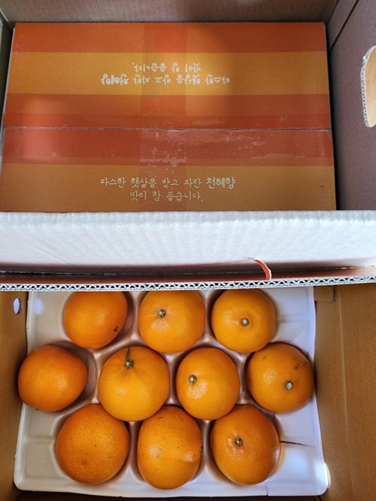영희네감귤농장 이미지