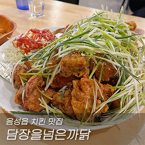 담장을넘은까닭 음성직영점 이미지
