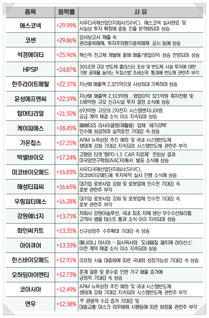화인칩스 이미지