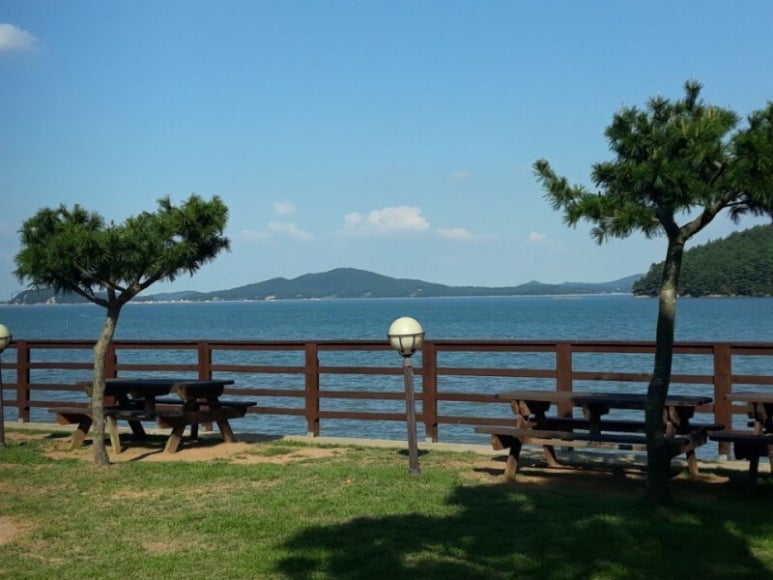 오투조경 이미지