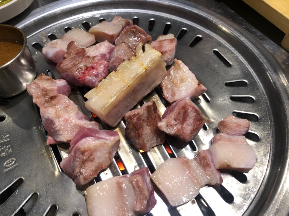 섬돼지 이미지