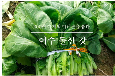돌산농원 이미지