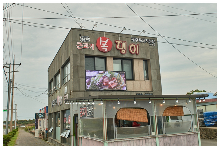 돼지3남매 이미지