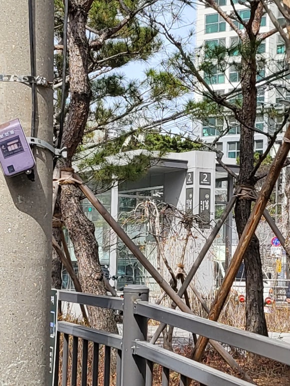 옛날보리밥집 이미지