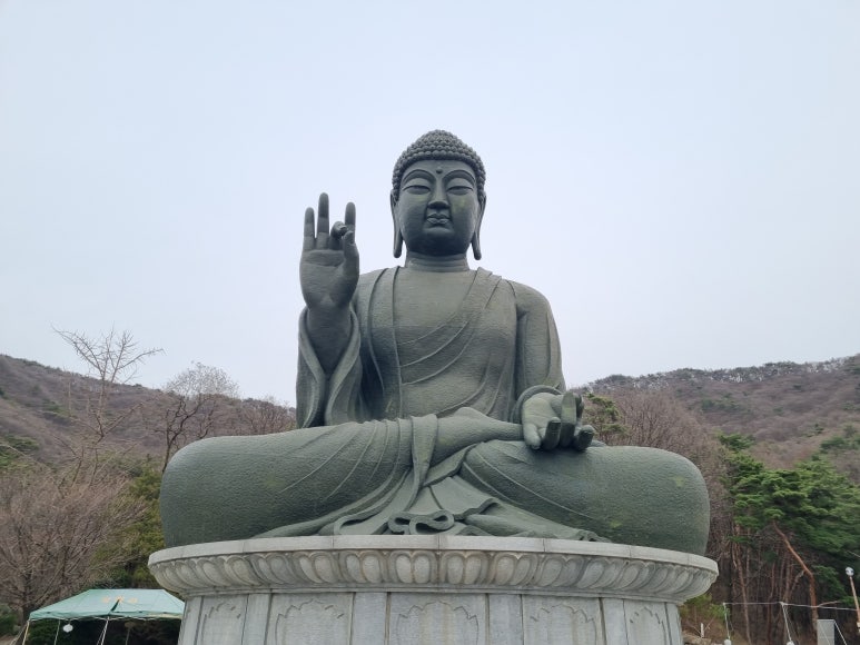 법인자연심 이미지